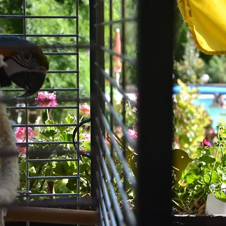 Apartmán Katica Vendeghaz