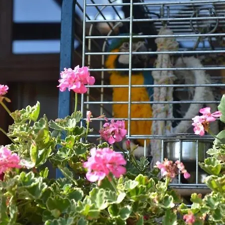 Apartmán Katica Vendeghaz