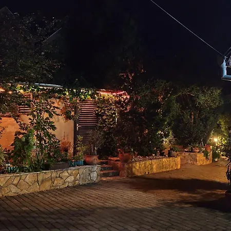 Katica Vendeghaz Σίοφοκ