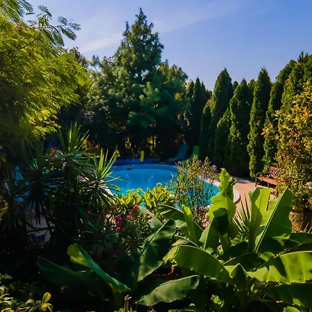 Apartmán Katica Vendeghaz