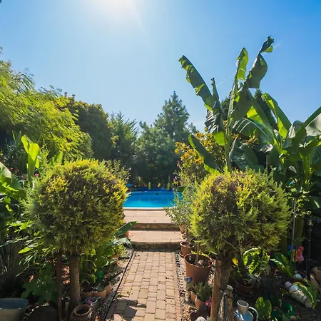 Apartmán Katica Vendeghaz *