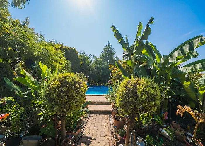 Apartamento Katica *